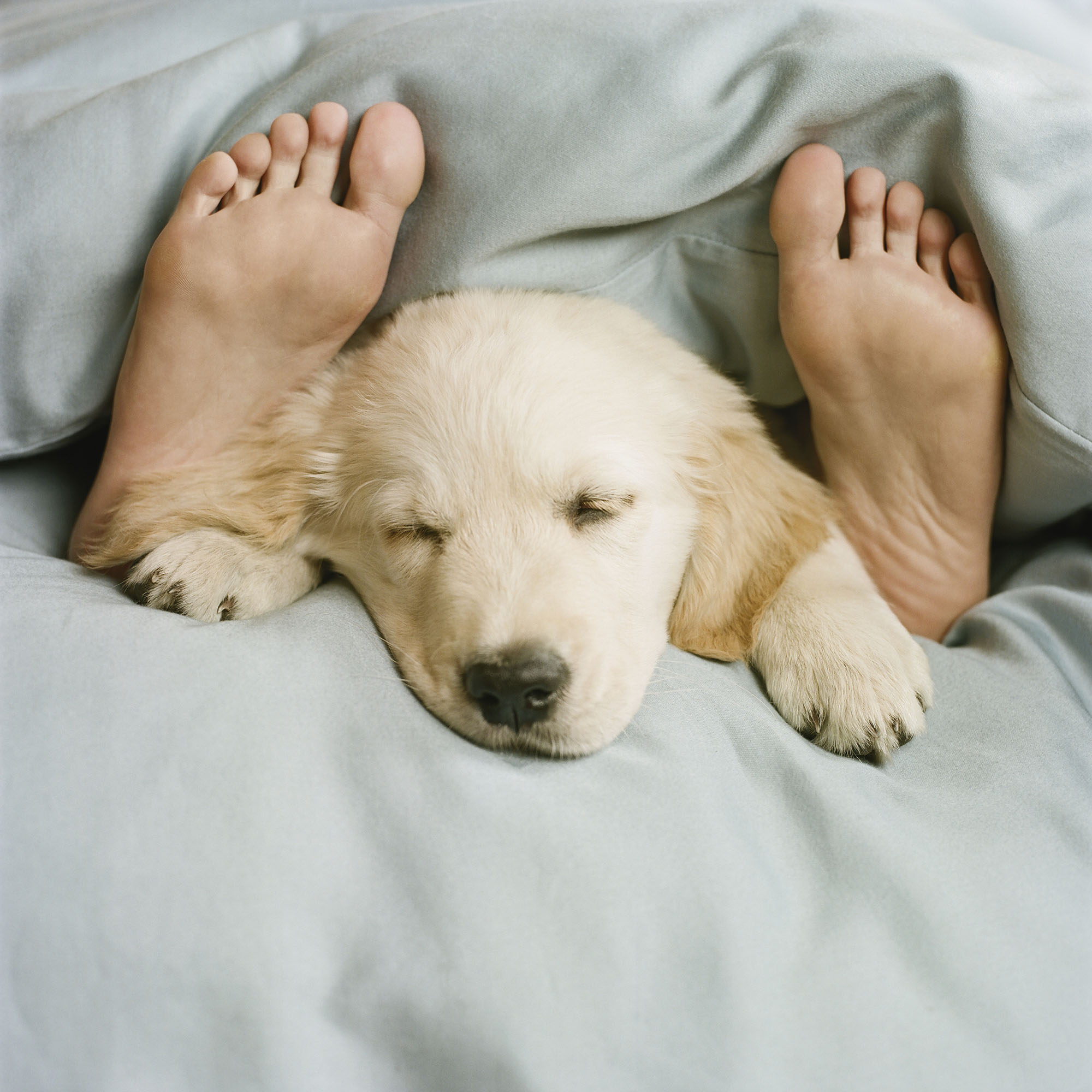 Sleep Isn’t a Waste of Time